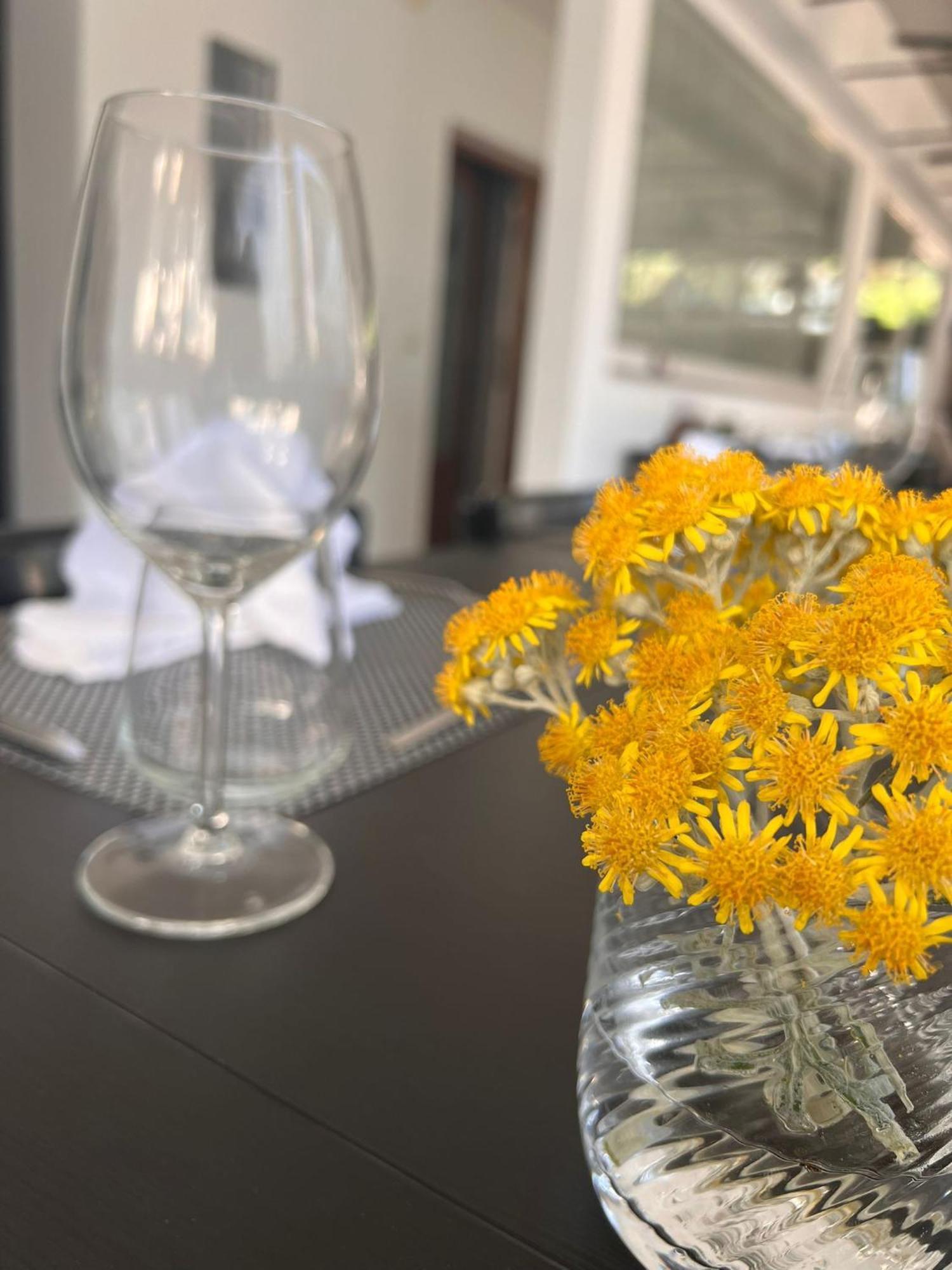 Murine Wellness Villa Istriana מראה חיצוני תמונה
